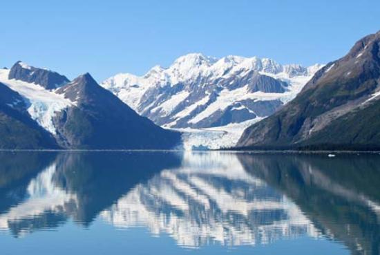 Wildlife and Glacier Day Cruises in Alaska
