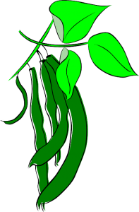 beans