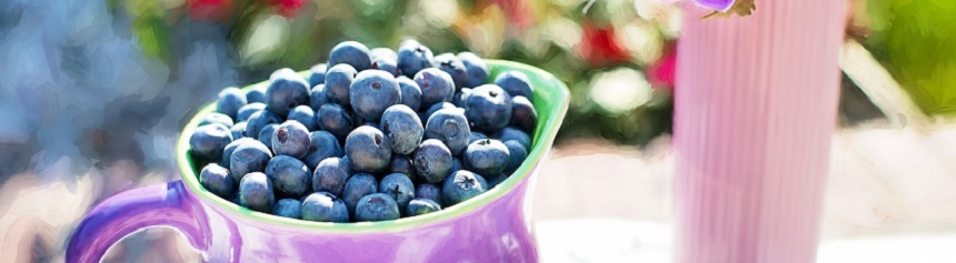 blueberries860