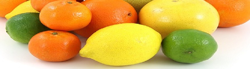 citrus fruit860