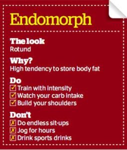 endomorph