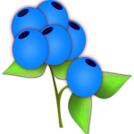 blueberries