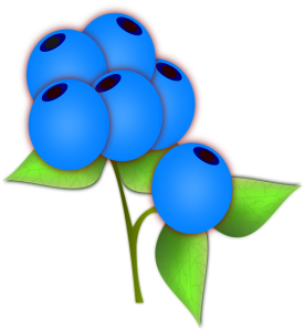 blueberries