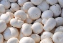 Benefits Of Mushrooms
