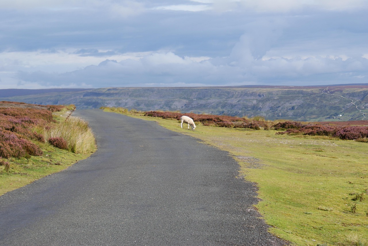 North York Moors – Hidden Valleys