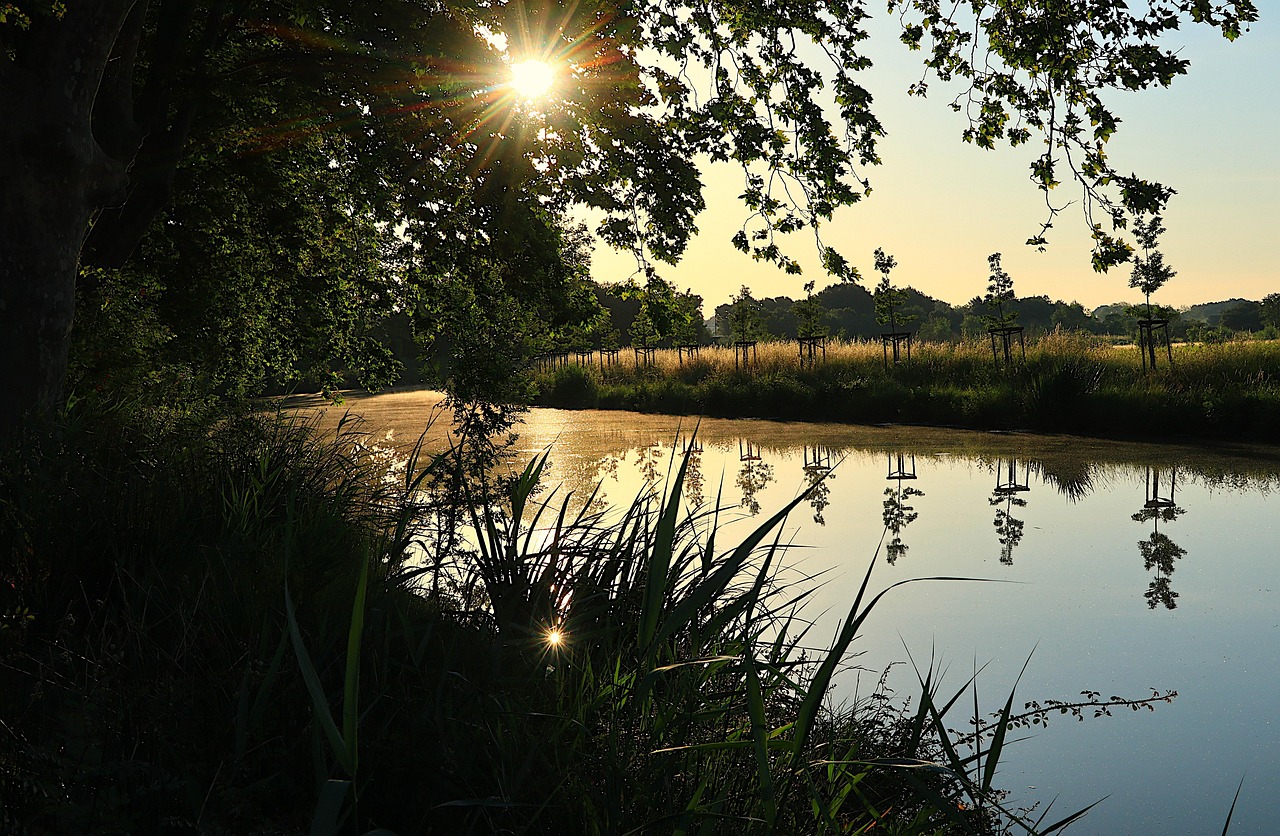 Camping Holidays In Languedoc-Roussillon