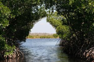 Everglades, Florida – Travel Guide